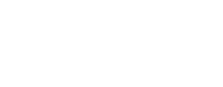 Zagonel